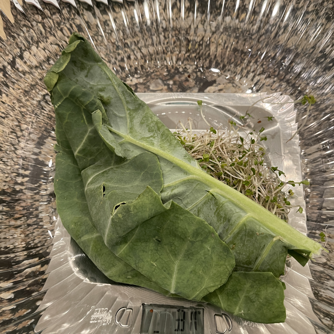 Dr. Rich’s Recipes: Collard Green